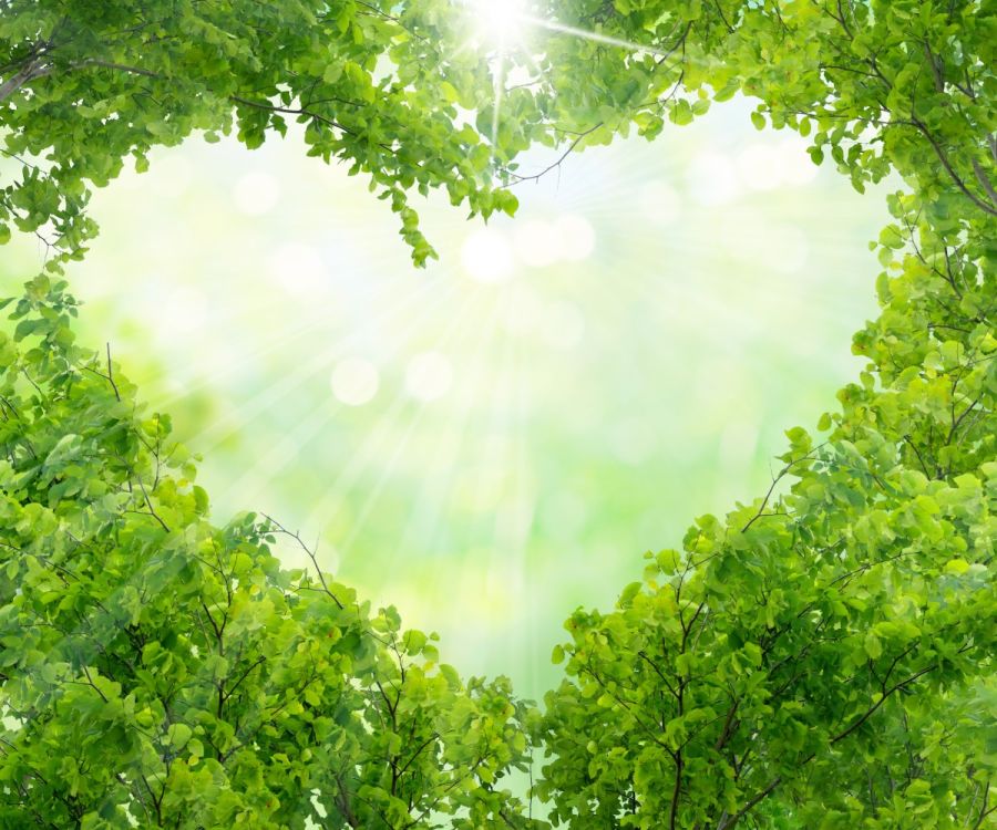 People, Planet, Profit